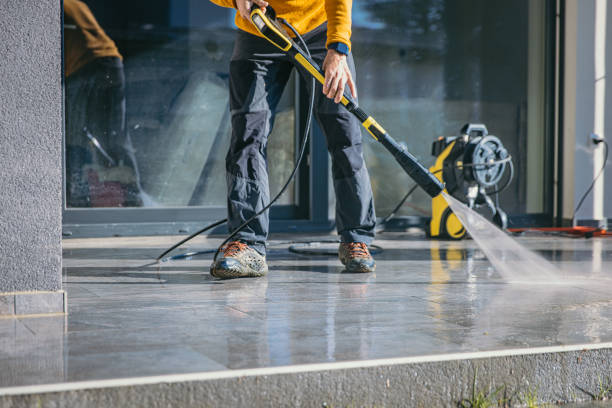 Best Roof Cleaning and Mildew Removal in Savoy, IL