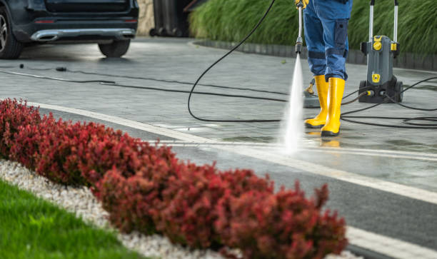 Best Fence Cleaning and Maintenance in Savoy, IL